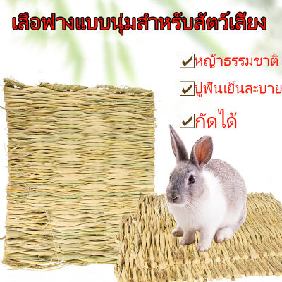 ส่งเร็ว เสื่อฟางแบบนุ่มสําหรับสัตว์เลี้ยง หนูแฮมสเตอร์ กระต่าย แผ่นรองพื้นกรง หญ้าถักปูรองพื้นสำหรับสัตว์เลี้ยง