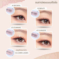 Kimhanshops Blingblink Lashes ขนตาแบบตัดช่อ✨?