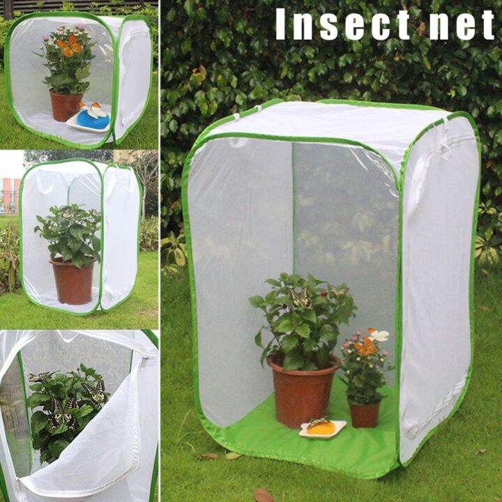 FMSRZX Collapsible Foldable Plant Mantis Housing Enclosure Incubator