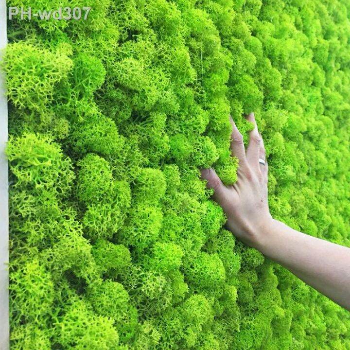 20g-40g-quality-artificial-moss-immortal-moss-simulation-green-plant-grass-home-decorative-wall-diy-micro-landscape-accessories