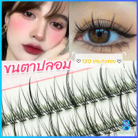 Serenity ขนตาปลอม ขนตาปลอมแต่งหน้ามืออาชีพ 120 ช่อ ช่อคนตาเทรนสาวเวียดนาม  Little devil false eyelashes