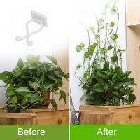 Plant Climbing Wall Fixture เป็นมิตรกับสิ่งแวดล้อม Wall Vines Holder สำหรับบ้านสำหรับสวน