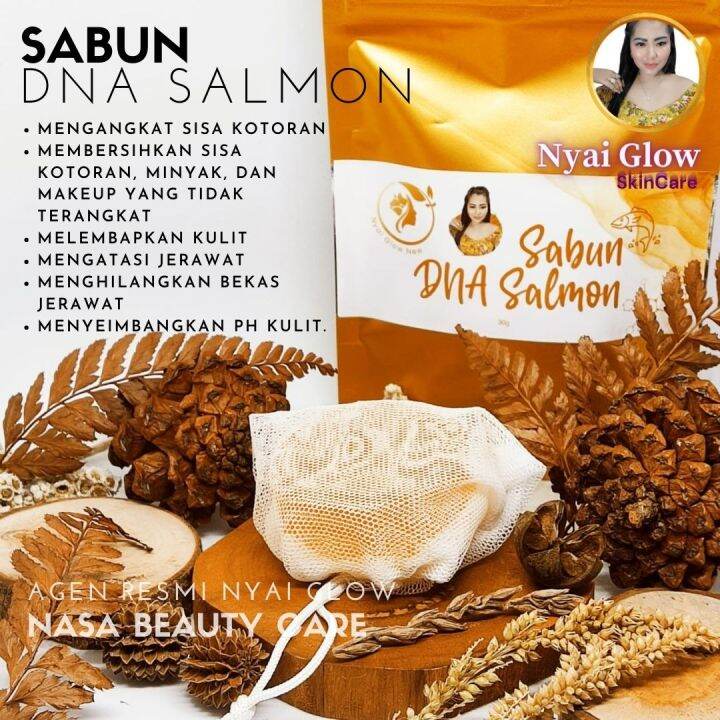 Sabun Muka DNA Salmon Nyai Glow SkinCare BPOM / 100% Produk Ori / DNA ...