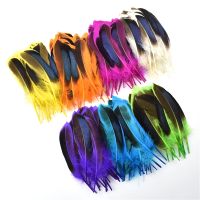 20pcs Colorful Pheasant Feathers for Crafts Feather Jewelry Handicrafts Accessories Decoration Fly Tying Materials