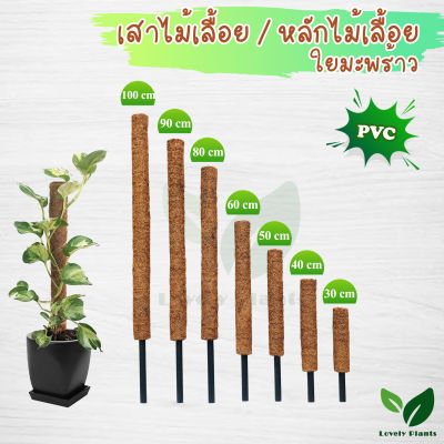 เสาไม้เลื้อย เสาใยมะพร้าว(PVC)