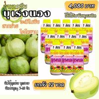 พร้อมส่ง? บุเรงนอง ยกลัง 12 ขวด ขนาด 1 ลิตร อะมิโนพืช+สาหร่าย+ไคโตซาน+น้ำตาลทางด่วน อาหารพืช ใช้ฉีดพ่นทางใบ ฉีดพ่น ได้ทุกพืช ฝรั่ง