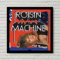 Róisín Murphy Róisín เครื่องดนตรีหน้าปกอัลบั้มโปสเตอร์ผ้าใบพิมพ์ลายภาพวาดตกแต่งบ้าน (ไร้กรอบ)