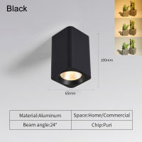 Surface Mounted Square Downlight Double Head Daring Lamp Nordic Spot Light Ceiling Surface Light Corridor Aisle Porch