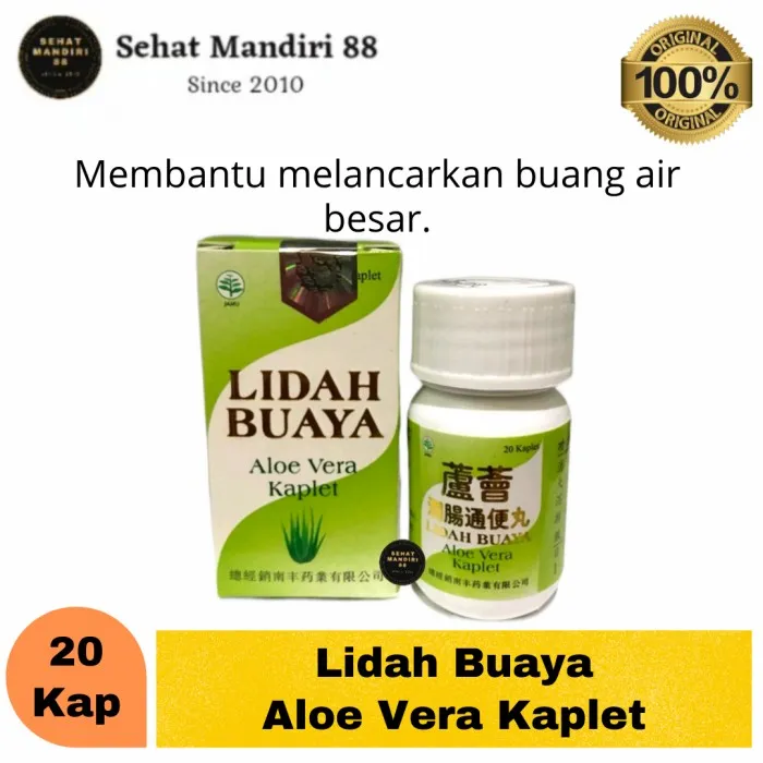 Aloe Vera-Kapsul Lidah Buaya-20 Kapsul | Lazada Indonesia