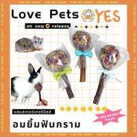 【hamster travel】พร้อมส่ง!!หนูแฮมสเตอร์กัดฟันเลือกสินค้าแอปเปิ้ลกิ่งไม้ข้าวโพดหวานคุกกี้แกสบี้กระรอกกระต่ายโภชนาการสแน็ค BBT