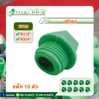 ปลั๊กอุด พีพีอาร์(THAI PPR) ขนาด 20มม.(R1/2นิ้ว) และ 25มม.(R3/4นิ้ว) [แพ็ค10ตัว]