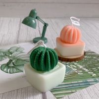 【CW】 Succulent Cactus Scented Candle Molds Aromatherapy Crafts Fragrance Ornamen