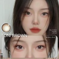 ร้านเลนส์สวยคอนแทค Wink Wow รุ่นToni /สี Brown น้ำตาล/Gray เทาไม่มีค่าสายตา นำเข้าจากเกาหลี มี อย. (ลายใหม่สุดHit ขายดี)