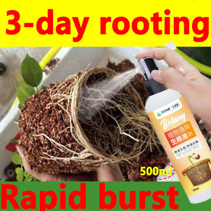 How To Make Your Plant Roots Grow Faster at Glenda Schnabel blog