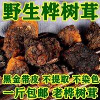 กำมะหยี่ Chaga จากรัสเซีย60ปีชิ้นตัดเป็นที่มีคุณภาพสูงโรคเบาหวานสาม-สูง Inonotus Obliquus ทองคำสีดำ