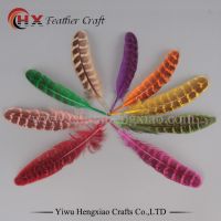 Sale 50pcs / lot high quality pheasant feather, 4-6 "/ 10-15cm, natural color and dyed feathers, DIY jewelry accessories