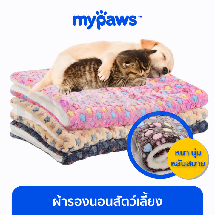 my-paws-ที่นอนสัตว์เลี้ยง-ผ้าปู-b-ผ้าห่ม-ผ้ารองนอนสัตว์เลี้ยง