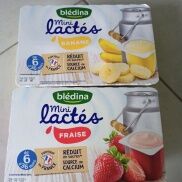 VỈ 6 H SỮA CHUA BLE ,VỊ DÂU CHUỐI SANSUCRES CHUỐI LÊ ĐÀO,- NỘI ĐỊA PHÁP-