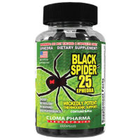 Cloma Pharma: Black Spider 25 Ephedr a Fat-Burner 100 capsules  แฟตเบิร์น  เข้มข้นขั้นสุด Wickedly Potent Thermogenic support