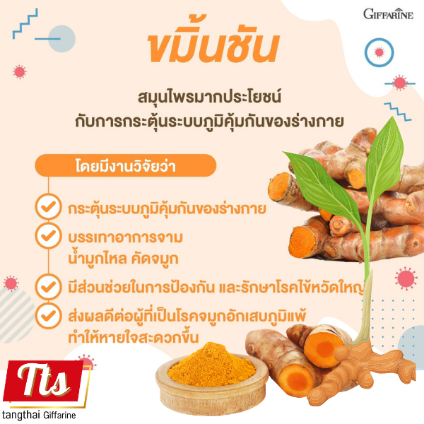 ของแท้-ส่งฟรี-กระชายขาว-สกัด-และ-ขมิ้นชัน-วิตามินซี-วิตามินอี-เคอคิวมา-กิฟฟารีน-giffarine-กระชายผง-วิตามินซี-อาหารเสริมเพื่อสุขภาพ