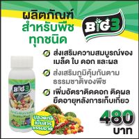 Big3 บิ๊กทรี สูตรพืชทุกชนิด วัคซีนพืช สารกระตุ้นภูมิต้านทานและเสริมการเจริญเติบโตสำหรับพืช (ขนาด 500 ซีซี)