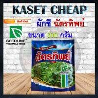 เมล็ดผักชี ฉัตรทิพย์ ขนาดบรรจุซอง 300 g. บริษัท SEEDLINE กอแน่น ใบใหญ่ กลิ่นหอม ความงอกดีมาก สินค้าใหม่ สิ้นอายุปี 2024 ของแท้ 100%