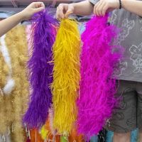 6 10 Ply Various Feather Boa High Quality Ostrich Feather Trim Scarf Party Dress Cuff Sewing Decoration Shawl 0.5 2 Meters/pcs