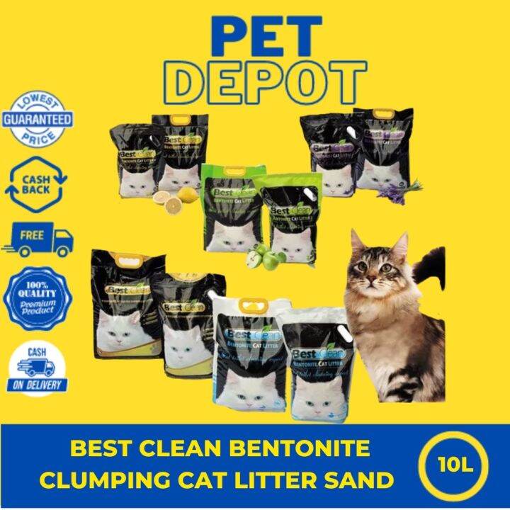 Best Clean Bentonite Clumping Cat Litter Sand 10L Lazada PH