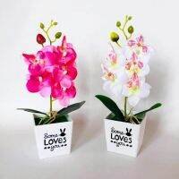 Artificial Butterfly Orchid Bonsai Fake Flower With Pot Home Table Decoration Fake Butterfly Orchid Artificial Bonsai