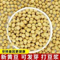 Shanxi new potatoes bean sprouts soybeans wholesale soy milk to make natto raw materials