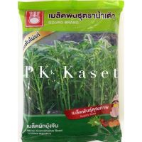 เมล็ดผักบุ้ง น้ำเต้า 1 kg ผักบุ้ง เขียวใบไผ่แท้ ของใหม่