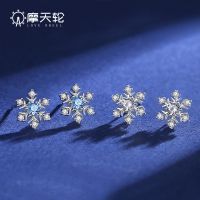 [COD] wheel silver snowflake series earrings wholesale niche design high-end zircon geometric femininity