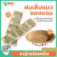 WA+Thai ?ซื้อที่ลับเล็บแมวให้หญ้าชนิดหนึ่ง? ที่ลับเล็บแมว ที่ลับเล็บ อุปกรณ์สัตว์เลี้ยง ที่นอนแมว ทำจากกระดาษลูกฟูก สำหรับแมว