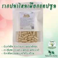 รากปลาไหลเผือก Tonkat Ali ขนาด 50 / 100 แคป (1เม็ด 500 มก.) สมุนไพรไทยแท้ 100% พร้อมส่ง -168 Herbs- จำหน่ายทั้งปลีกและส่ง ทักแชทสอบถามข้อมูลสินค้าได้เลยค่ะ