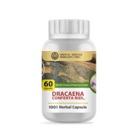 กำลังหนุมาน Dracaena Conferta Ridl Herb Capsule 100% (เกรดพรีเมี่ยม) ชนิดแคปซูล บรรจุ 60 เม็ดแคปซูล