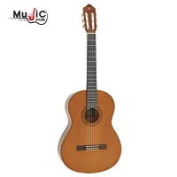 Yamaha กีตาร์คลาสสิค รุ่น C40 Classical Guitar เหมาะสำหรับคนที่กำลังมองหากีต้าร์คลาสสิกเพื่อใช้ในการฝึกเล่น ในราคาไม่แพง คุณภาพดี สายจับนิ่ม