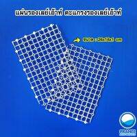 แผ่นรองเลย์เอ้าท์ ตะแกรงรองเลย์เอ้าท์ แผ่นพลาสติกสำหรับรองทำเลย์เอาท์ อุปกรณ์ตู้ปลา