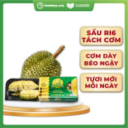 Sầu Riêng Ri6 Tách Múi, Trái Chín Tự Nhiên, Thơm Béo - Foodmap Fruit