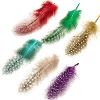 20Pcs/Lot Pheasant Feathers for Needlework 2-4 /5-10CM Spotted Feather Handicraft Accessories