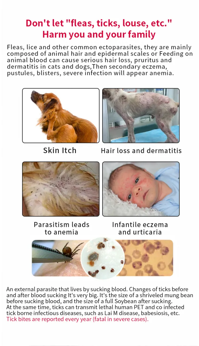 Do Pest Repellers Affect Dogs