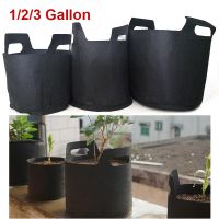 【LZ】 1/2/3 Gallon 3Gal Grow Bags black Pots Garden Fabric Plant  Vegetable  Flower Planter DIY Growing bag gardenig tools