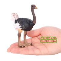 Animal Kingdom - โมเดล Ostrich นกกระจอกเทศ คอดำ ขนาด 11.00 CM (จากสงขลา)