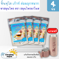 ฟรีกระป๋องน้ำ (4ห่อ 80ซอง) ชาสมุนไพรมาโนช ชามาโนช สมุนไพร ชาบำรุงไต ชาไต บำรุงไต ปวดเอว ปวดข้อ เหนื่อยอ่อนเพลีย ฟื้นฟูไต