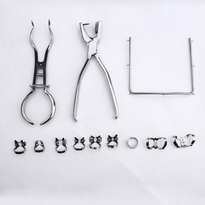 1 Set Teeth Care Dental Dam Perforator Dental Dam Hole Puncher Pliers For Dentist Rubber Dam Puncher Lab Orthodontic Tools