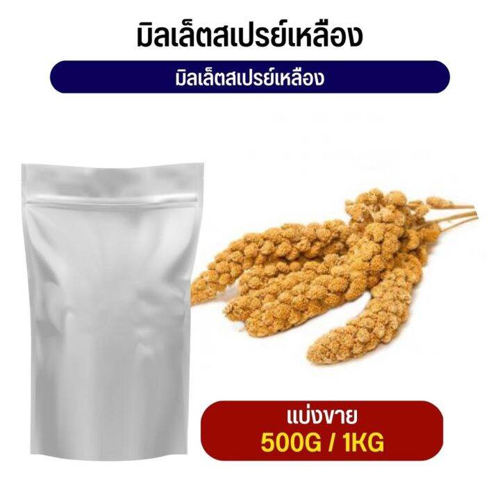มิลเล็ต สเปรย์เหลือง Yellow Millet Spray อาหารนก กระต่าย หนู กระต่าย