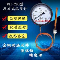 ❀♤ Hebei Hongqi WTZWTQ-280 pressure thermometer boiler temperature oil remote transmission food free shipping