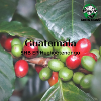 สารกาแฟ กัวเตมาลา Guatemala SHB EP Huehuetenango