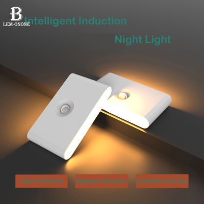 LED Induction Night Light Human Body Infrared Closet Lights Type-C Charging Magnetic Suction Wall Lamp for Bedroom Stair Toilet Night Lights