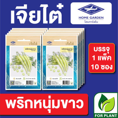 ผักซอง เจียไต๋ CT15 เมล็ดพันธุ์ พันธุ์ผัก พริกหนุ่มขาว บรรจุแพ็คล่ะ 10 ซอง ราคา 70 บาท