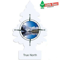 [Little trees]แผ่นน้ำหอมปรับอากาศ แผ่นน้ำหอมที่นิยมมากที่สุด